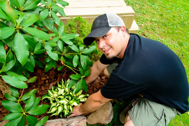 Contact About Landscaping Mulching Service