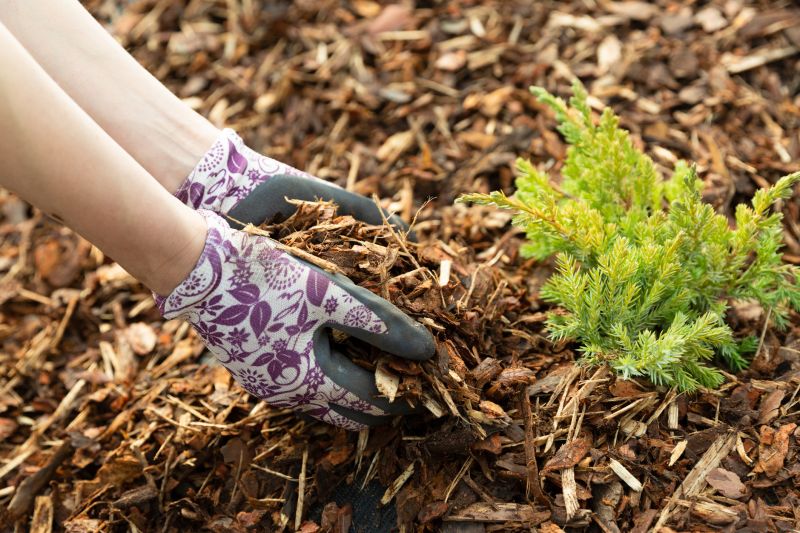 Landscaping Mulching Service