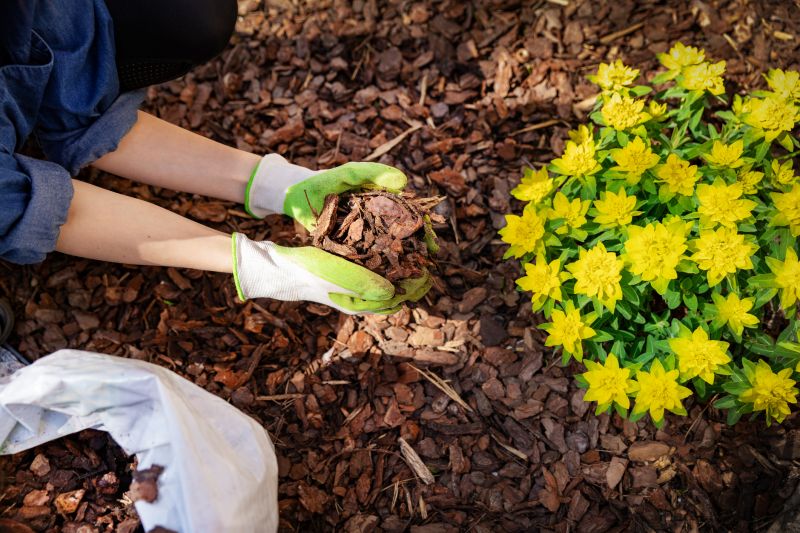 Landscaping Mulching Service